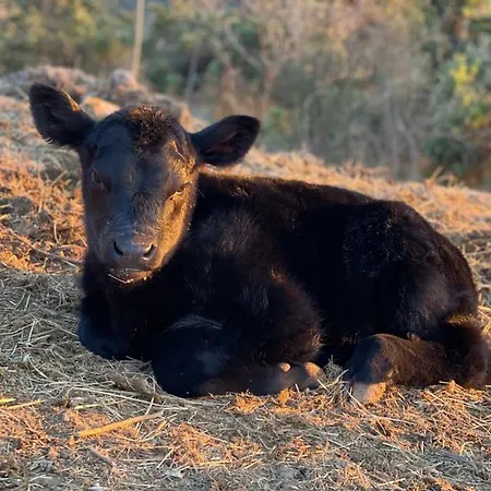 Montecolombo By Il Ritorno