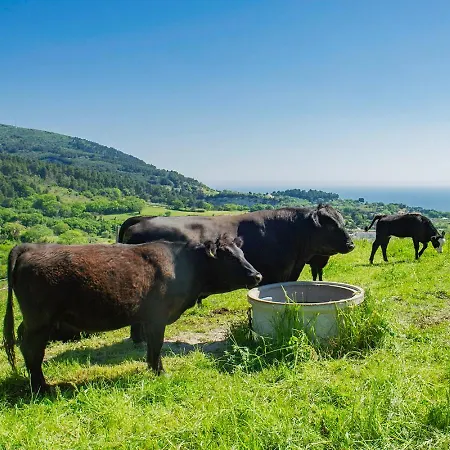 Montecolombo By Il Ritorno Alloggio per agriturismo